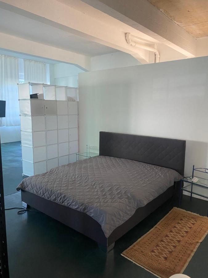 Appartement Big One Event Loft Gastro Kitchen, 200Qm, Up To 8 Beds à Dresde Extérieur photo